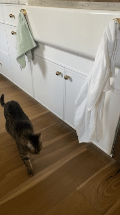 Beginning our mortgage payoff journey!